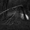 Aleksei Kazantsev - light forms #6
