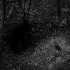 Aleksei Kazantsev - dark forms #7