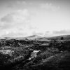 Alice Smith - Dartmoor Views
