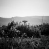 Attila Simon - Postindustrial (project)