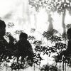 Ayumi Tanaka - Picnic