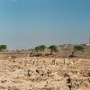 Basil Mihaylov - Lighthouse and five trees. Paphos, Cyprus. October, 2014