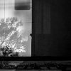 Dan Sibley - r0320066