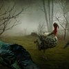 Francisco Diaz + Deb Young - The Fox + the Turkeys