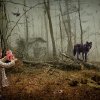 Francisco Diaz + Deb Young - Babes in the Wood