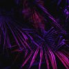 Irina Zakharova - Leaves in the Dark