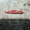 Kate Kornberg - rainbow bean 