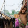 Shahid Farooq - Unsuppressed calmness