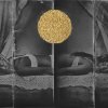 Zelko Nedic  - from the series Golden Scars