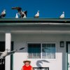 Anastasiia Sapon - I live in California