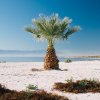 Anastasiia Sapon - I live in California