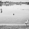 Andrey Lomakin - Dialogue from the project Calm Waters, Kyiv region, Ukraine