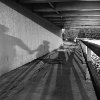 Ari Neiditz - Shadow, Humboldt Park, Chicago