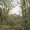 Charlie Stanhope - What Remains