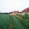 Christopher Manson - The Path through the Corn Field, Driffield, 2015