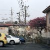 Koji Aono - Slope Parking And Kindergarten's Plum Tree, Suginami-ku, Tokyo