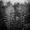 Kurt K Gledhill 