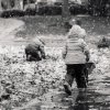 Natalie Fay Green - The First Snowfall (Washington, DC)