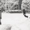 Natalie Fay Green - Another Snow Day (Washington, DC) 
