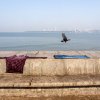 Neenad Arul - A red shirt and denim jeans kept for drying under the sun on the pavement  and a crow flies by