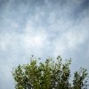 Phillip Mudd - Swarm of Bee's, Benton City Washington