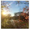 Rose DeSiano - Brooklyn, Kutztown, New York, Pennsylvania, Work and Home