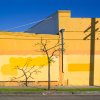 Sinziana Velicescu - Mid City, Los Angeles