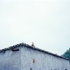 Xuecong Lin - Margin