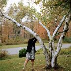Jeanette Spicer - Tree Pull, 2014