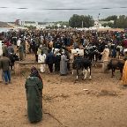 Nicolás Biglié - Essaouira Market N2