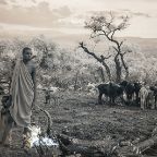 Terri Gold - Life in a Cattle Camp - Omo Valley, Ethiopia