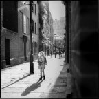 Alexander Surrey -Fairy in London