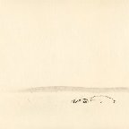 Andrei Farcasanu -The quiet sense of nature #1
