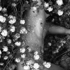 Leo Serpens -Untitled