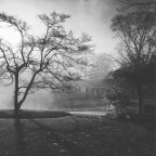 Carianne Hixson -Morning Fog