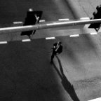 Cassandra Zampini -Running Between the Lines