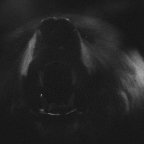 Fyodor Telkov -from a series 'Tales'