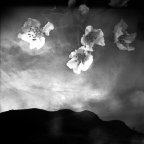 J. M. Golding -This moment always
