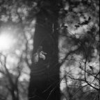 J. M. Golding -untitled (from the series, Before there were words)