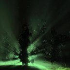 Khoa Duong -Untitled