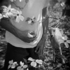 Leslie Hall Brown