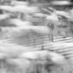 Mariko Evans -Yet another rainy day