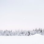 Mario Capriotti -Lapponia Rovaniemi November 2015
