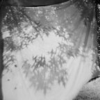 Michael Cardinali  -Livingston, NY, 2013