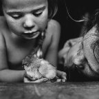 Niki Boon -Baby chicken