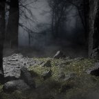 Nikolaus James -Draconis Occidentalis: Unearthing the Beast No.1