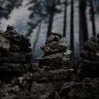 Nikolaus James -Draconis Occidentalis: Unearthing the Beast No.2