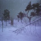 Polina Washington -Snow Lullaby