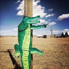 Siobhan Keleher -Pointing Gator