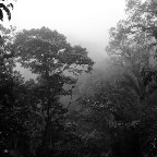 Mario Perez -Las Pozas, Thanksgiving Day 2009